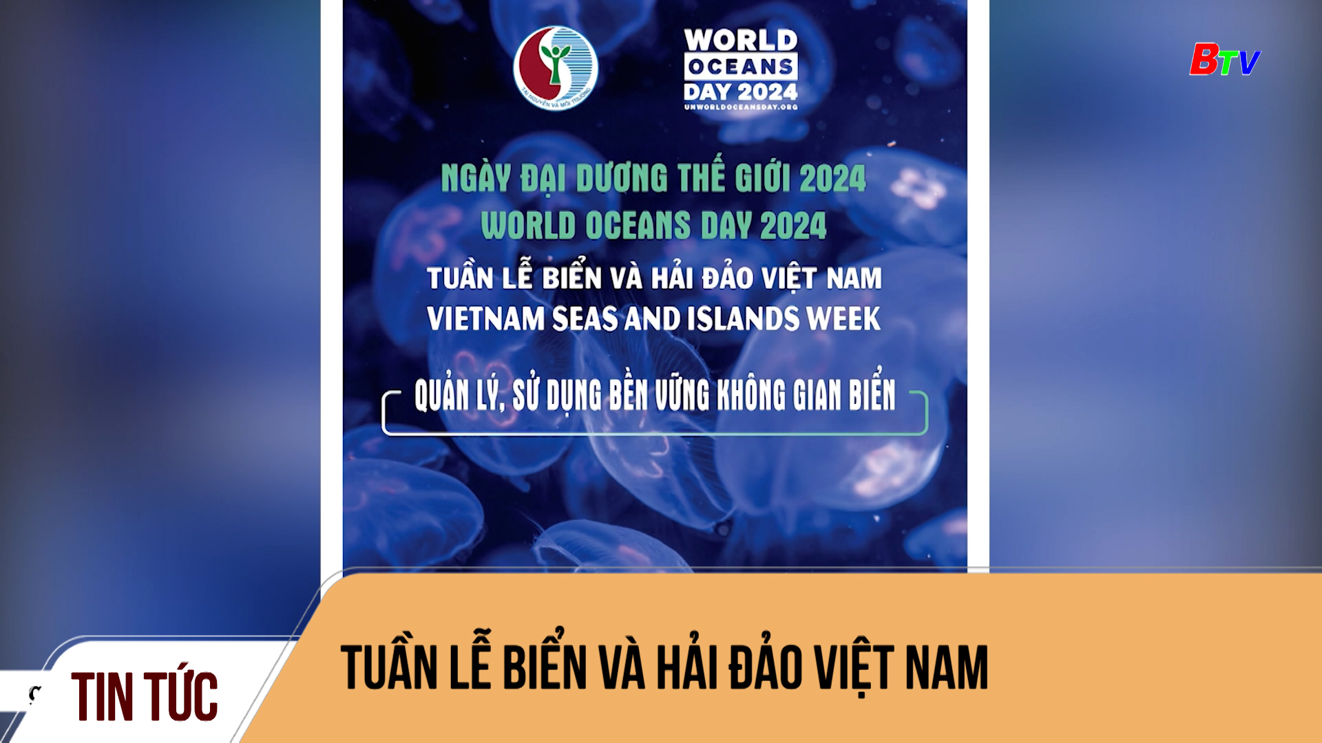 Tuần lễ Biển và Hải đảo Việt Nam